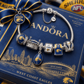WCE Silver Charm Bracelet Set PTT